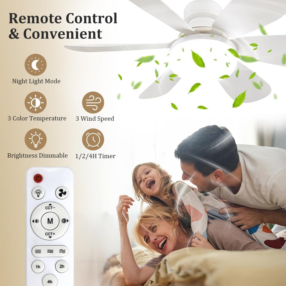 Socket Fan Light with Remote,  - Home Lighting And Decor 评论和价格