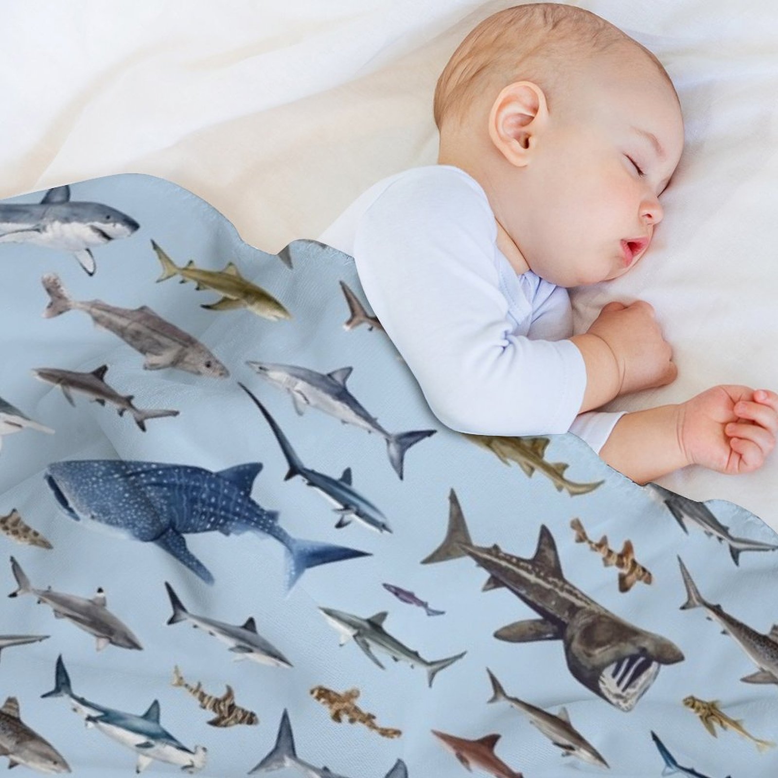 SHARKS poster-light blue Throw - Lighting Decoration Ideas For Home 评论和价格